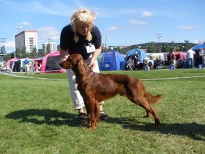 UTSTILLING_HEGE ROSENLUND