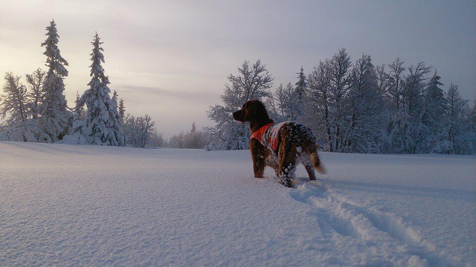 treningsdag i fjellet