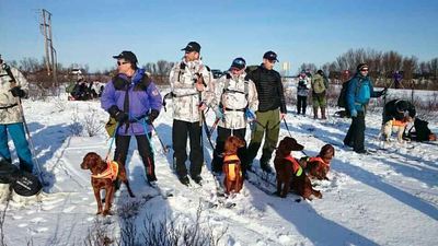 NM lag Vinter 2015