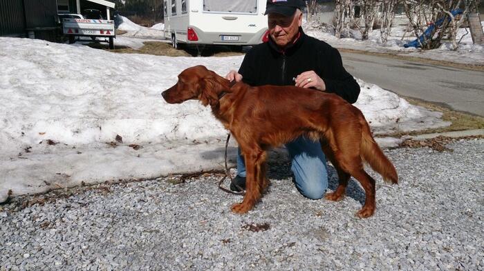 Skillevollen`s Argo og Hans J Sjåmo