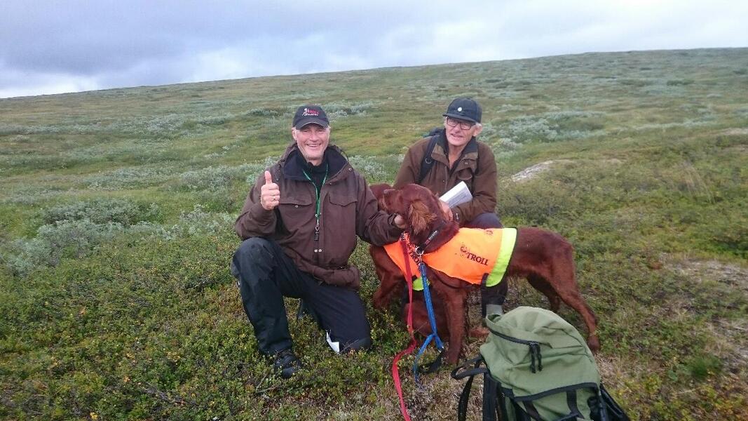 Tærnafjellen`s Wille L 1