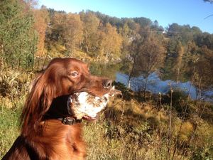 IMG_1482_1024x768