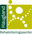 haugland_logo.png