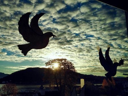 Fredsduer i vindu mot solen over Harstad