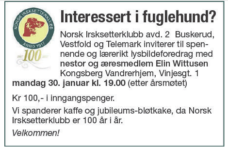 Ferdig annonse
