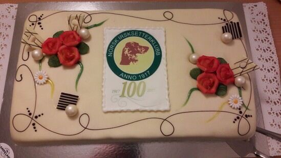 Kake 100 år_550x309