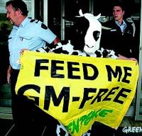 Greenpeace