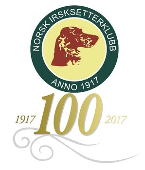 Nisk logo 100år