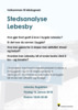 Plakat stedsanalyse Lebesby 2018