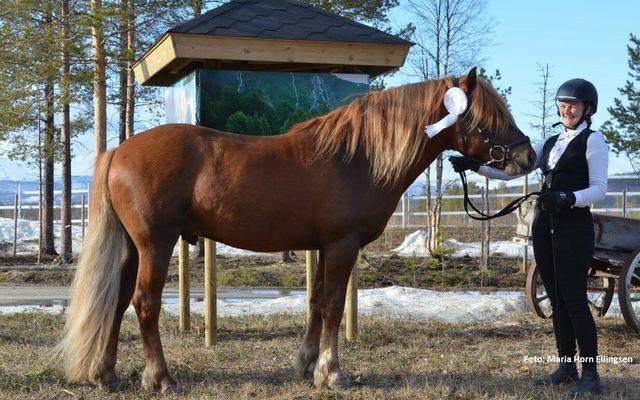 Sigrid