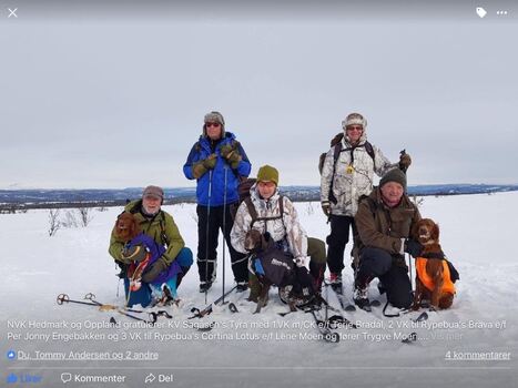 180303 Bilde av Per_Brava og Trygve_Tina_Vinjeveien