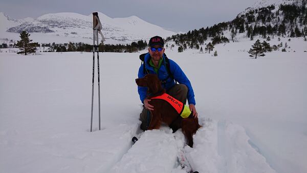 Heggelifjellets Xenon