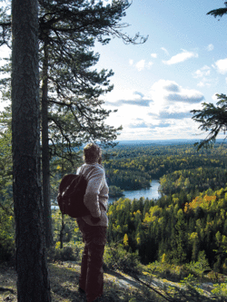 Sverre M. Fjelstad skuer utover en mulig fremtidig nasjonalpark. Foto: Cathrine Søberg.
