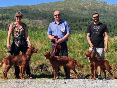 Kennel Rørbakken_400x300