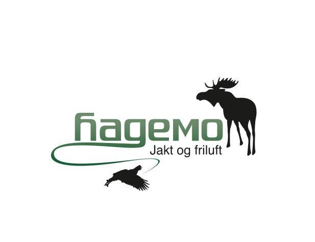 Sponsor Hagemo