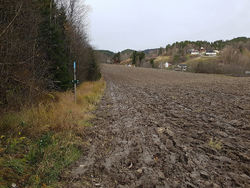 Blåstien rundt Ekeberg gård går langs med og over et jorde. Foto: Aga Zakoscielna.