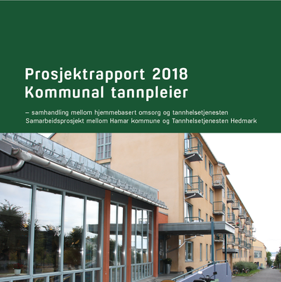Prosjektrapport Hamar_400x402