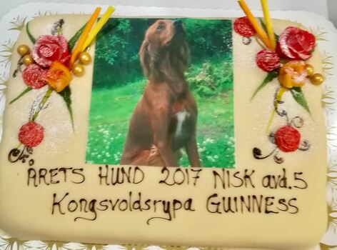 Årets Hund 2017