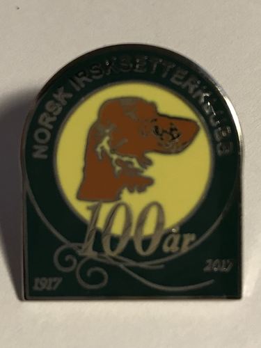 Pins 2017