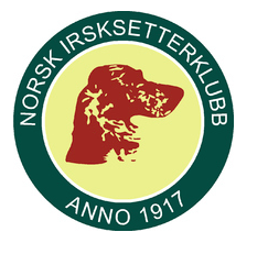 Skjermbilde 2019-03-04 kl