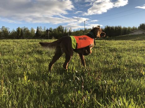 Sjøsprøytens JK Odda