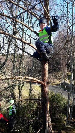 I treet