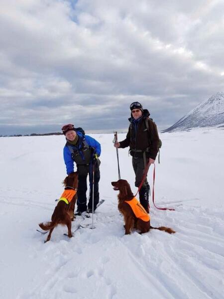 Ronny Jørgensen med G-Tjikkom av Miessevàrri og Tom Johansen med Norrlands Guidens Storeulv (Torres) på NM Vinter 2019 Andøya