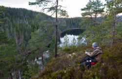 Naturreservatene i Østmarka skal beholde sin vernestatus, ifølge statsråd Elvestuens avklaringer. Her fra Ørnehøgda ved Midtre Kytetjern i Østmarka naturreservat. Foto: Espen Bratlie.