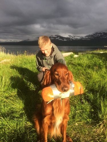 Torgeir Pedersen og Istindens C Ragg