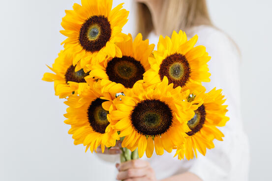 Bouquet of yellow sunflowers , flower in woman hand. Room morning. Colors of autumn and mood fall