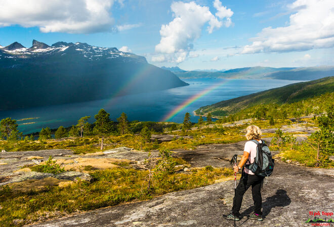 Utsikt fra Kjerrnigvassfjellet