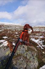 Norrlands Guidens Peak Performance