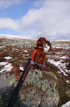 Norrlands Guidens Peak Performance