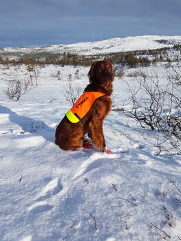 Topdalen`s Kajak