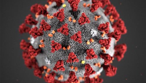 koronavirus