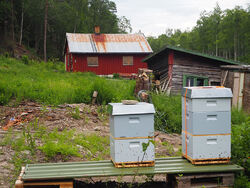Garasjen er ikke verneverdig, sier Byantikvaren. Men bikubene er nye av året! Foto: Bjarne Røsjø, ØV.