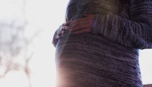 Gravid bilte frå Pexels