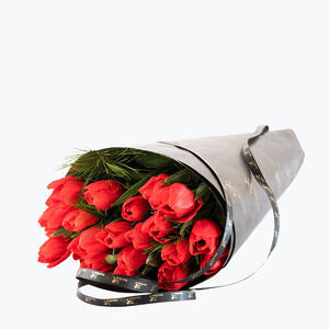 200791_blomster_tulipaner