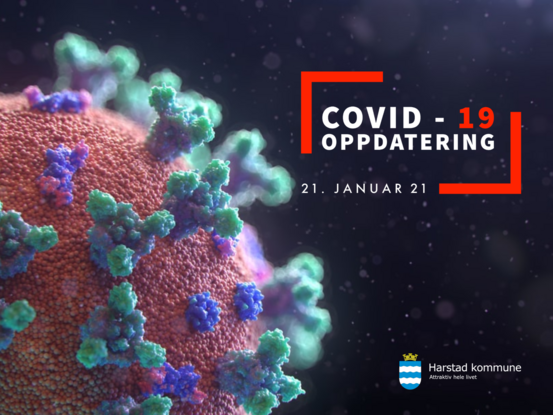 COVID-19 smitte generell (Stor)