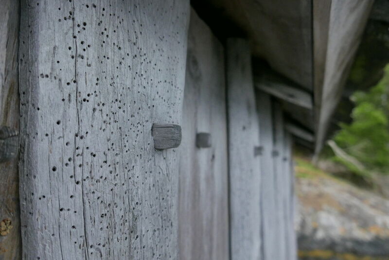 Detaljbilete av notbu på Føyno. Foto: Trond L. Onarheim Detaljbilete av notbu på Føyno
