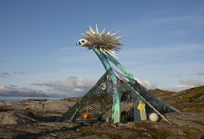 Kraken på Tranøy