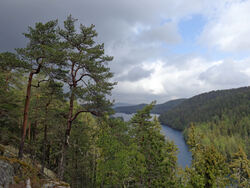 Ljanselv-vassdraget begynner her inne ved Lutvann, ganske langt nord i Østmarka, og munner til sist ut i Bunnefjorden ved Fiskevollbukta. Foto: Bjarne Røsjø.