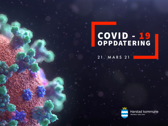COVID-19 smitte generell (Stor)