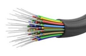 Fiber