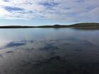 Reinoksvannet