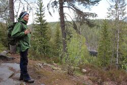 Lise Henriksen på tur med Myhr i Rausjømarka: Her beundrer hun utsikten mot Deliseterfjorden og Bøvelstadnabben.