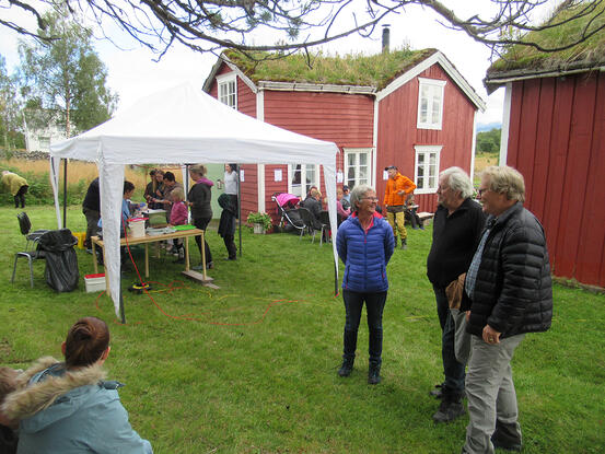 Fest på Rørvik gård