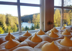 Disse solskinnsbollene fikk tid til å nyte utsikten før de tok en tur i ovnen. Foto: Mariholtet.