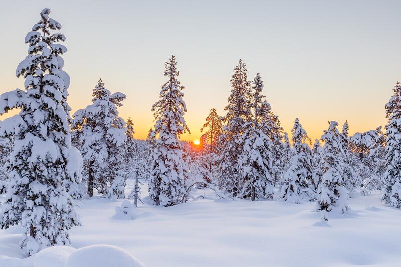 winter-5892335_1280