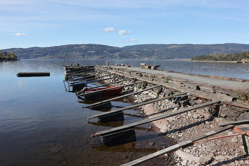 Det er svært lite vann i store deler av Norge nå. Her fra Tyrifjorden.  FOTO: ØRN E. BORGEN/NT